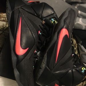 Lebron 12 Data edition